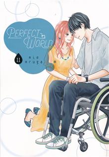 PERFECT WORLD GN VOL 11